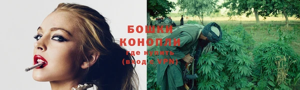 стафф Каменск-Шахтинский