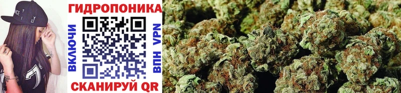 Купить  Ефремов  Канабис White Widow 